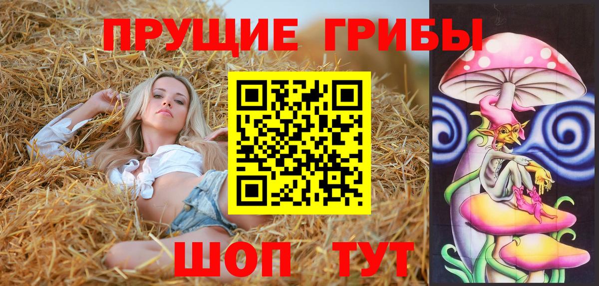 где купить наркоту  Вход с VPN  Псилоцибиновые грибы Magic Shrooms  Азнакаево  Псилоцибиновые грибы Psilocybe 